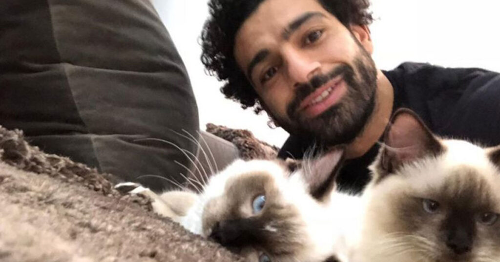 محمد صلاح وصورة خاصة مع قططه