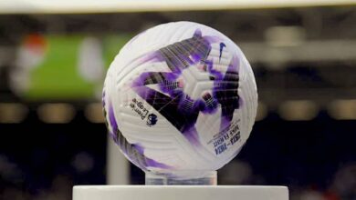 كرة الدوري الإنجليزي الممتاز 2024 البنفسجية